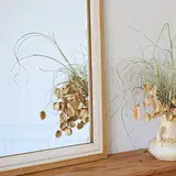 decorative mirror